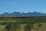 Miles of Dead Locos Somewhere in AZ